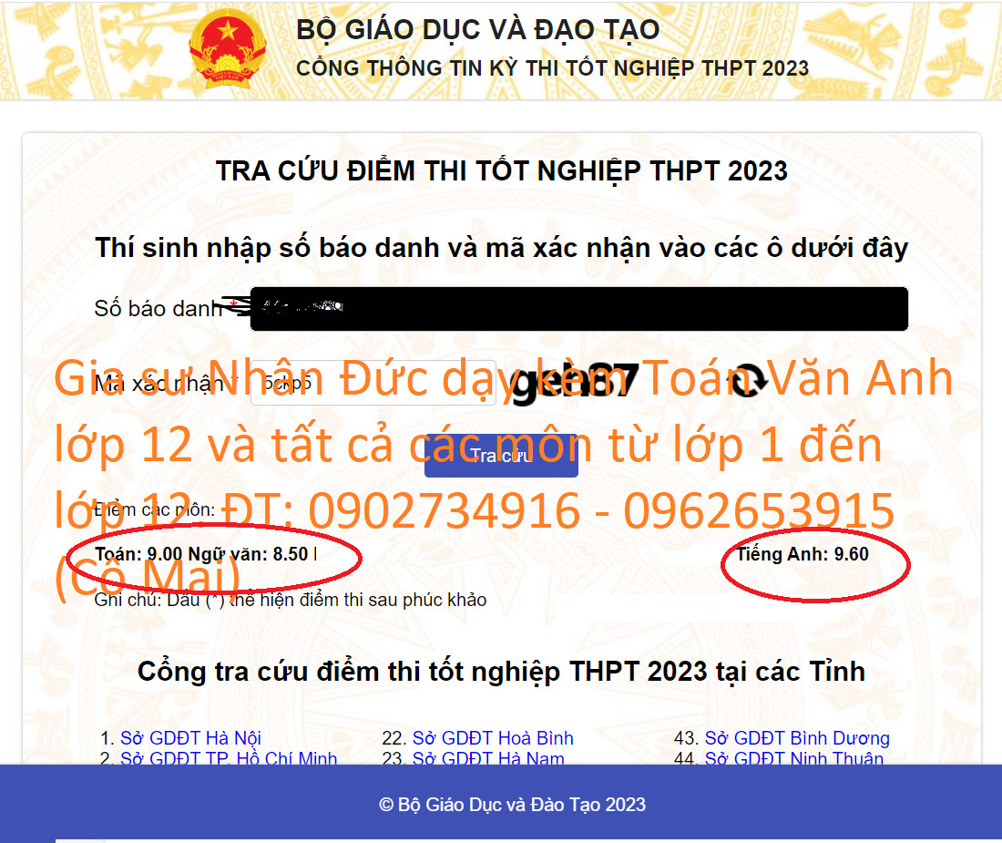 gia sư dạy ngữ văn