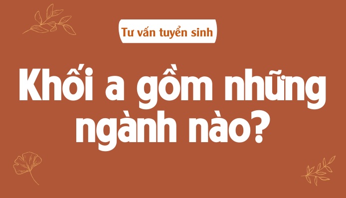 Khối A gồm môn nào, tổ hợp nào, trường Đại học và ngành nghề khối A